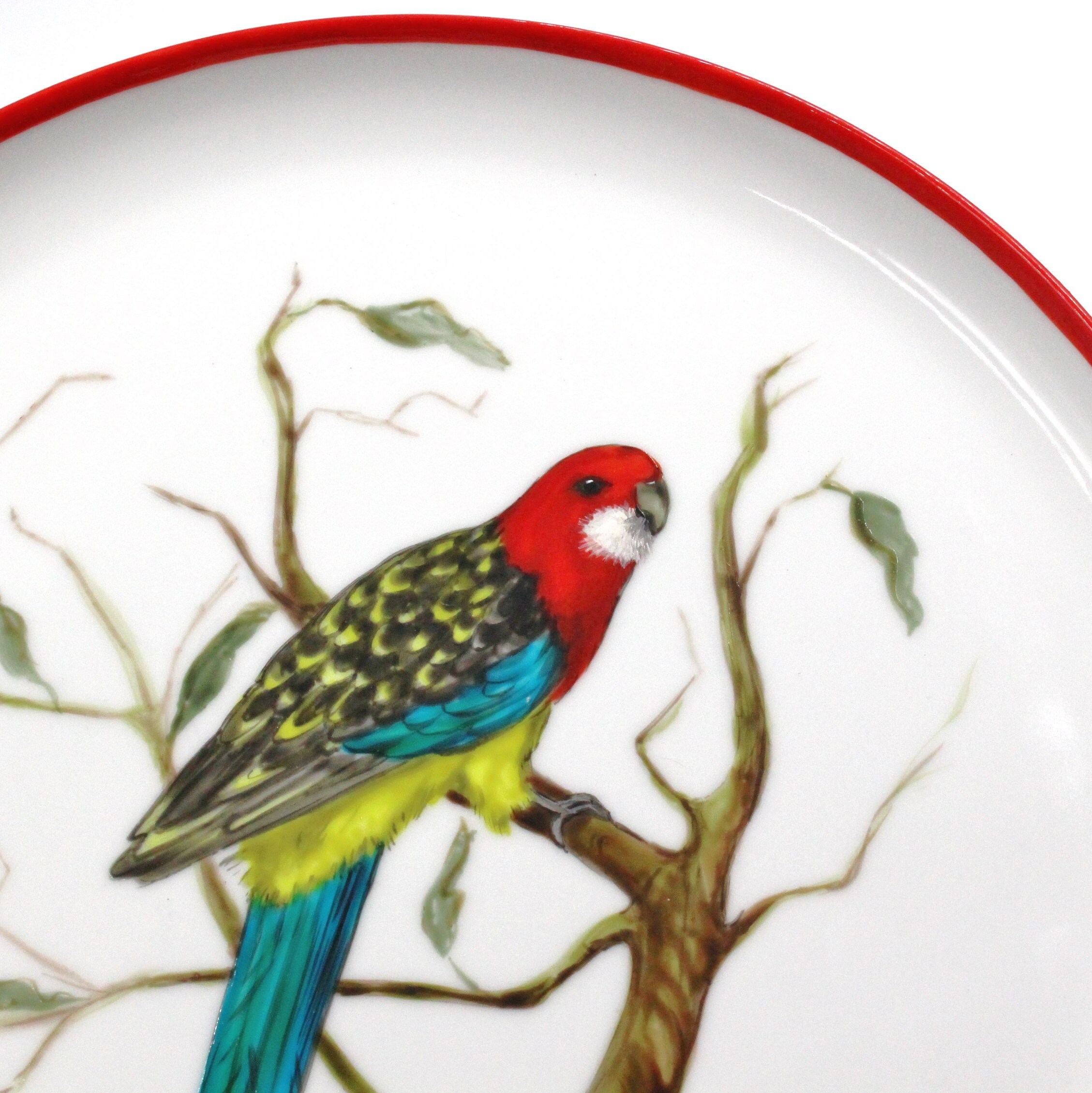 Decorative plate with Australian birds Eastern Rosella White Etsy