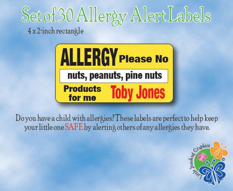 Personalized Allergy Alert Labels, Peanut Allergy Alert Labels, Allergy Safety image 1