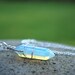 Rainbow Crystal Necklace, Opalite Moonstone Crystal, Wire Wrapped Crystal Point, Long Layering Crystal, Mens Leather Option, Choker Option