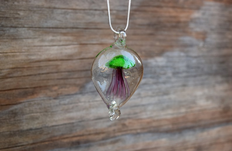 Pu&ograve; includere: Una collana con un ciondolo di vetro trasparente che contiene un fungo di vetro verde e viola.