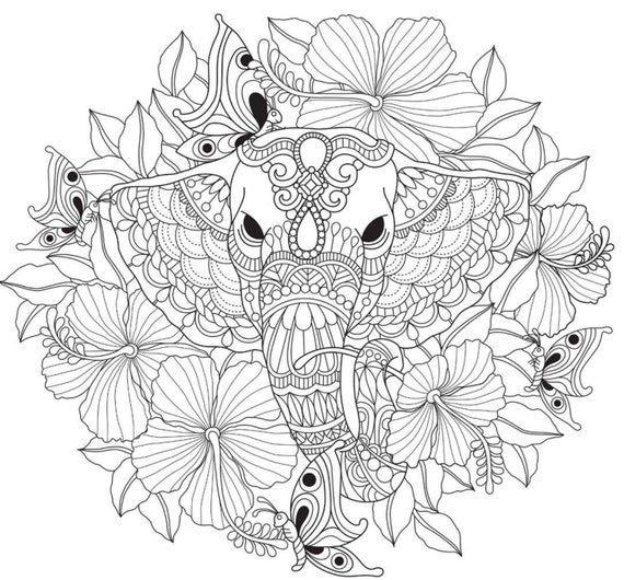 53 Patterned Animal Coloring Pages Volume 3 