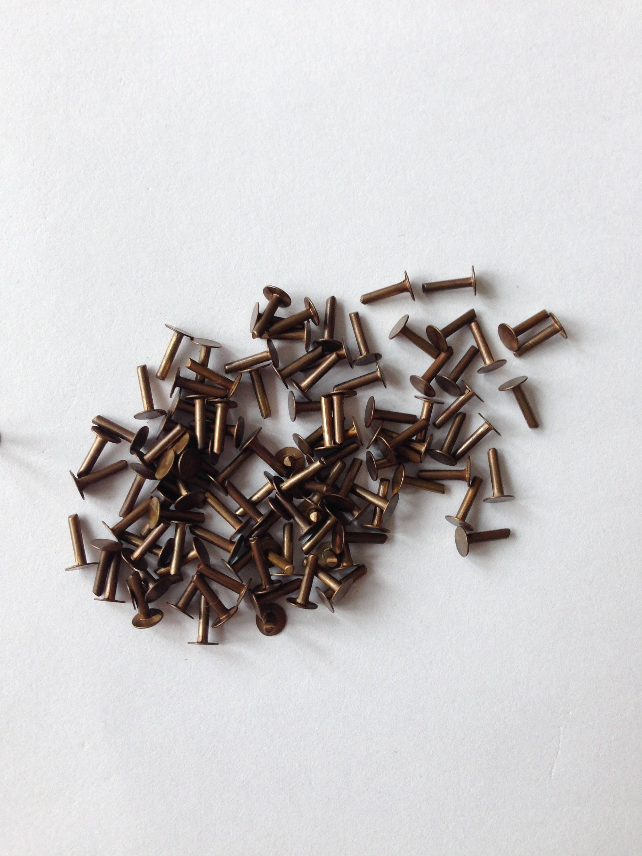 Vintaj Natural Brass, 1/8 Inch Nail Head Rivets for Leather (20 Pieces) 