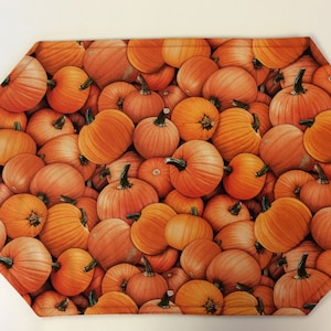 Autumn/Fall/Thanksgiving/Reversible Placemats/Pumpkin Patch/Fall Flowers/Set of 4