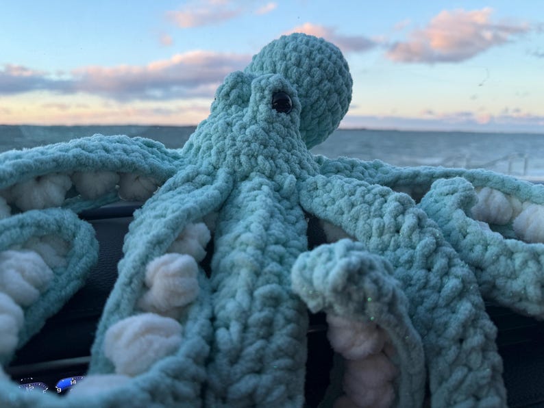 May include: A large, handmade, turquoise crochet octopus with white accents. The plush toy has a round head, large eyes, and eight textured tentacles. The background shows a cloudy sky and ocean.