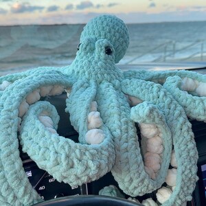 May include: A large, handmade, light blue crocheted octopus with white accents. The octopus is resting on a car dashboard, with the ocean visible in the background. The tentacles are spread out, and the eyes are black.
