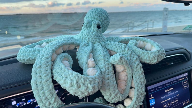 May include: A large, handmade, light blue crocheted octopus with white accents. The octopus is resting on a car dashboard, with the ocean visible in the background. The tentacles are spread out, and the eyes are black.