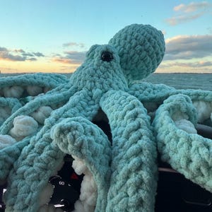 May include: A large, handmade, light blue crocheted octopus with a textured, plush appearance. The octopus has a round head, black eyes, and multiple tentacles. The underside of the tentacles is white. The background shows a car dashboard and a scenic view of the ocean and sky.