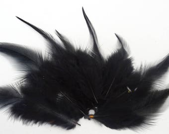 Lot de 20 Plumes de coq teinté noir