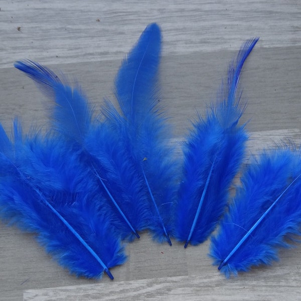 Lot de 20 Plumes de coq bleu bleu roi