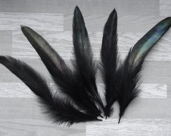 Lot de 10 Plumes de coq naturel de couleur noir pétrole