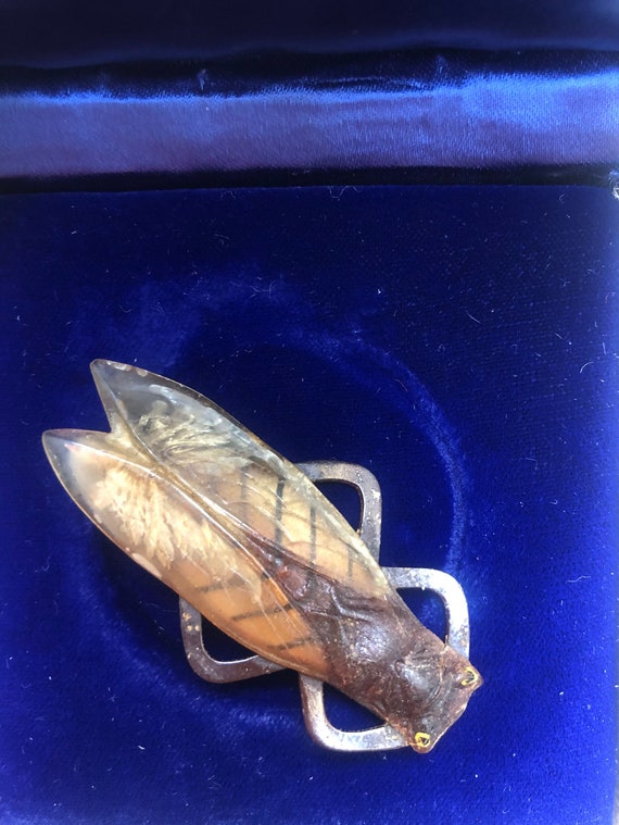 Vintage 30s large bakelite cicada brooch