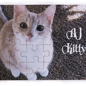 May include: A white and gray kitten with green eyes sits on a brown carpet. The text "My Kitty" is written in white on the carpet.