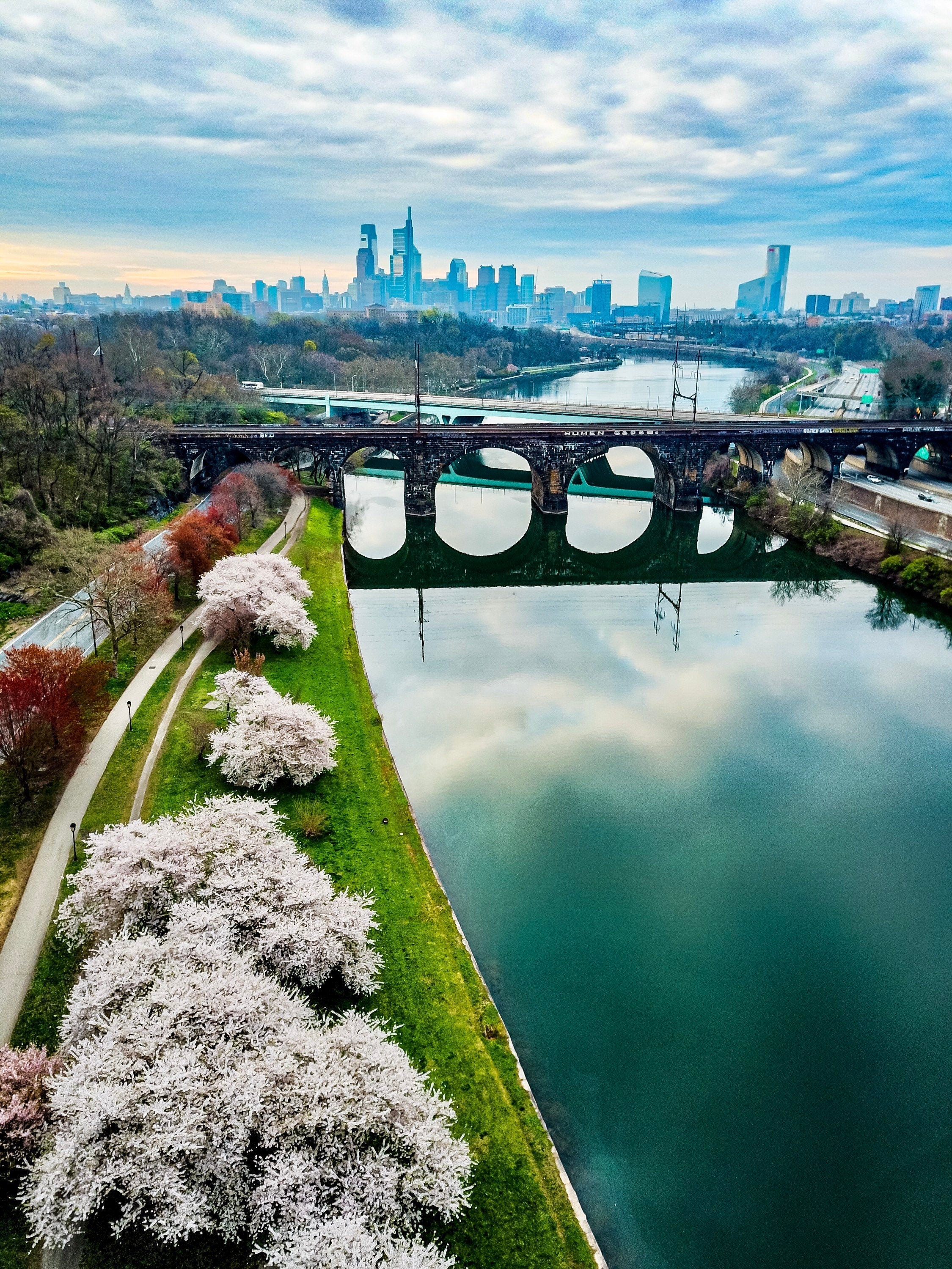 Philadelphia Skyline and Schuylkill River With Cherry Blossoms