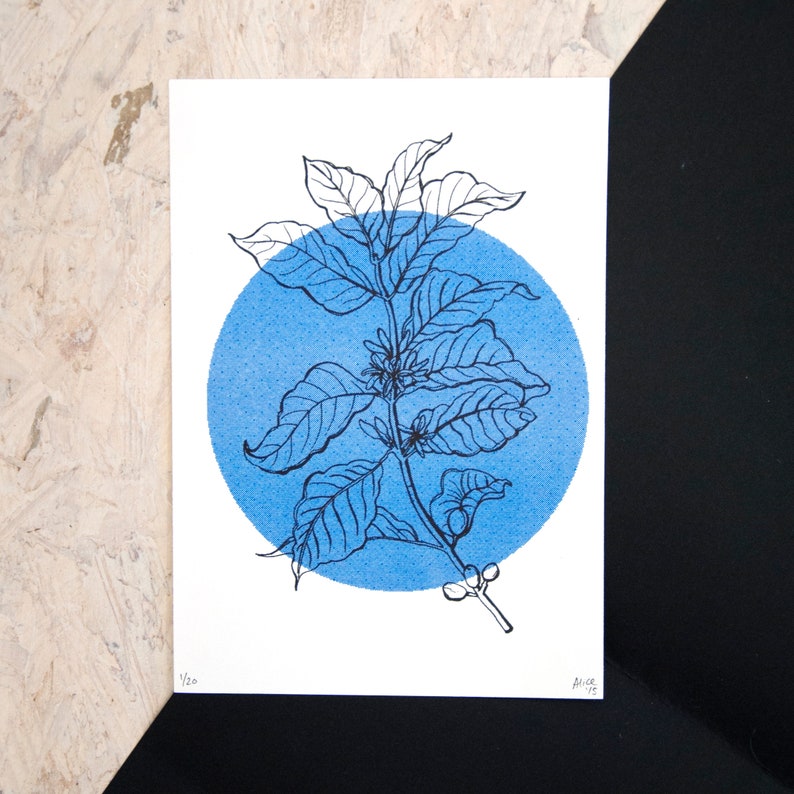 Riso print of a coffee plant, drawing risograph, art gift for barista, coffee lover illustration, botanical kitchen wall decor, gift for her image 1