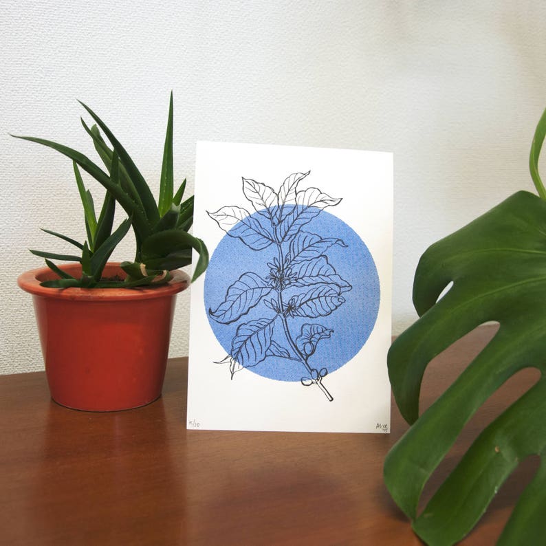 Riso print of a coffee plant, drawing risograph, art gift for barista, coffee lover illustration, botanical kitchen wall decor, gift for her image 6