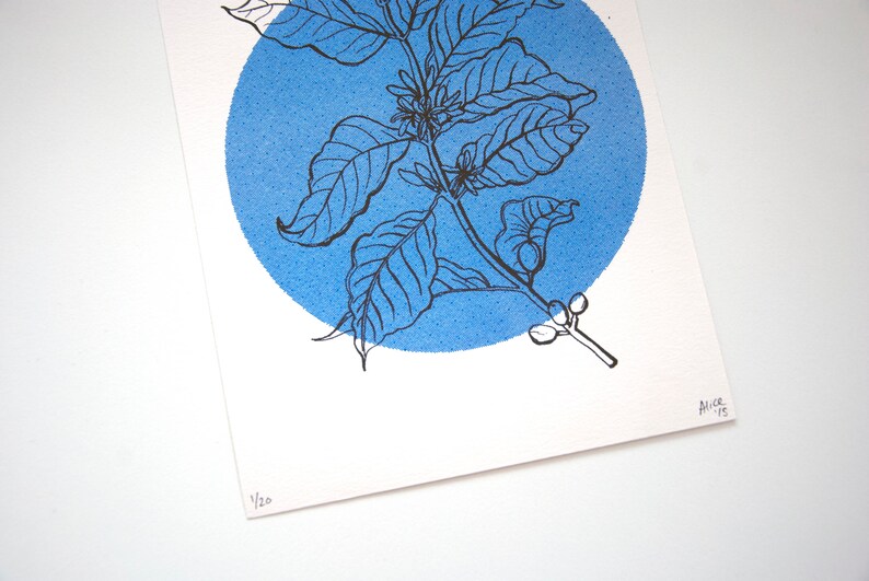 Riso print of a coffee plant, drawing risograph, art gift for barista, coffee lover illustration, botanical kitchen wall decor, gift for her image 5