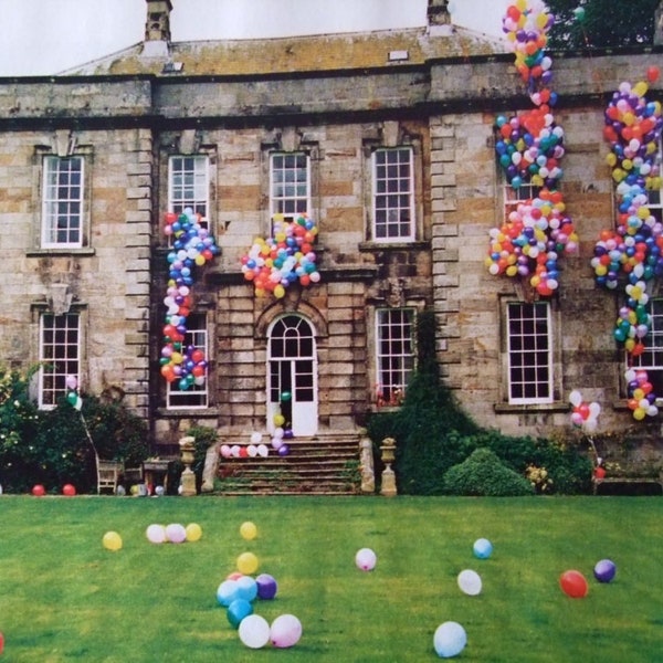 Custom Colour Mix Latex Balloons 11" or 5" Biodegradable Eco Friendly Party Balloons for every day joys & magical celebrations 12 Pack