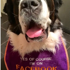 Big Dog Slobber Bib Facebook