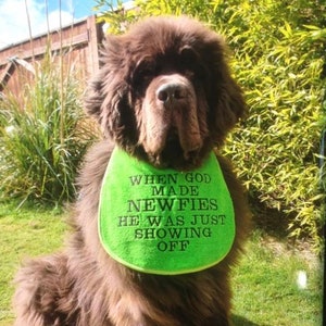 Big Dog Slobber Bib When God Made Newfies