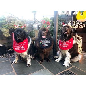 Big Dog Slobber Bib  Assorted Christmas Designs