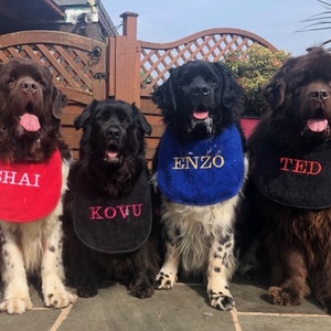 Slobber, Drool .Bibs Personalised With Your Pets Name Great For Newfoundlands.St Bernard&#39;s,Bull Mastiffs AllLarge Slobbering Dogs