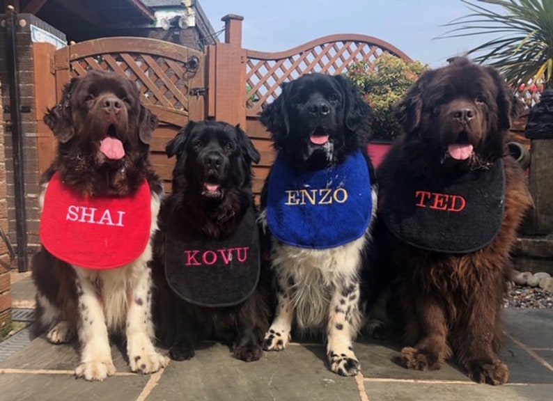 Slobber, Drool .Bibs Personalised With Your Pets Name Great For Newfoundlands.St Bernard's,Bull Mastiffs AllLarge Slobbering Dogs image 1