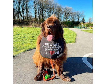 Big Dog Slobber bib mountain of love new design