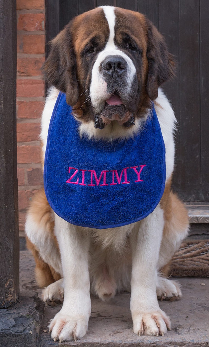 Slobber, Drool .Bibs Personalised With Your Pets Name Great For Newfoundlands.St Bernard's,Bull Mastiffs AllLarge Slobbering Dogs image 2