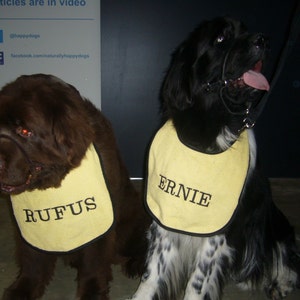 Slobber, Drool .Bibs Personalised With Your Pets Name Great For Newfoundlands.St Bernard's,Bull Mastiffs AllLarge Slobbering Dogs image 4