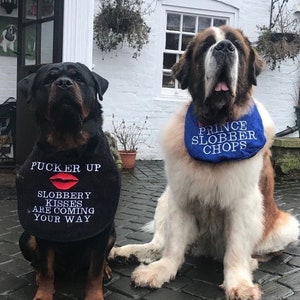 Big Dog Slobber bib  Slobbery Kisses Are Coming Your Way