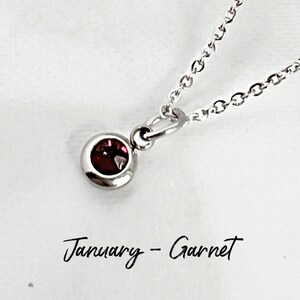 January Garnet Birthstone Necklace, Hypoallergenic Necklace, Birthday Gift for Her, Layering Necklace