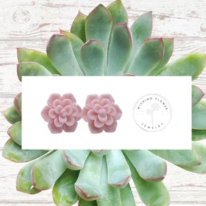 Pale Pink Succulent Stud Earrings / Hypoallergenic Surgical Steel / Succulent Flower Earrings / Earring Gift for Her