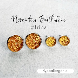 November Birthstone Earrings, November Birthday Gift for Her, Hypoallergenic Stud Earrings