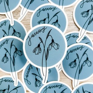 January Birth Month Flower Matte Sticker