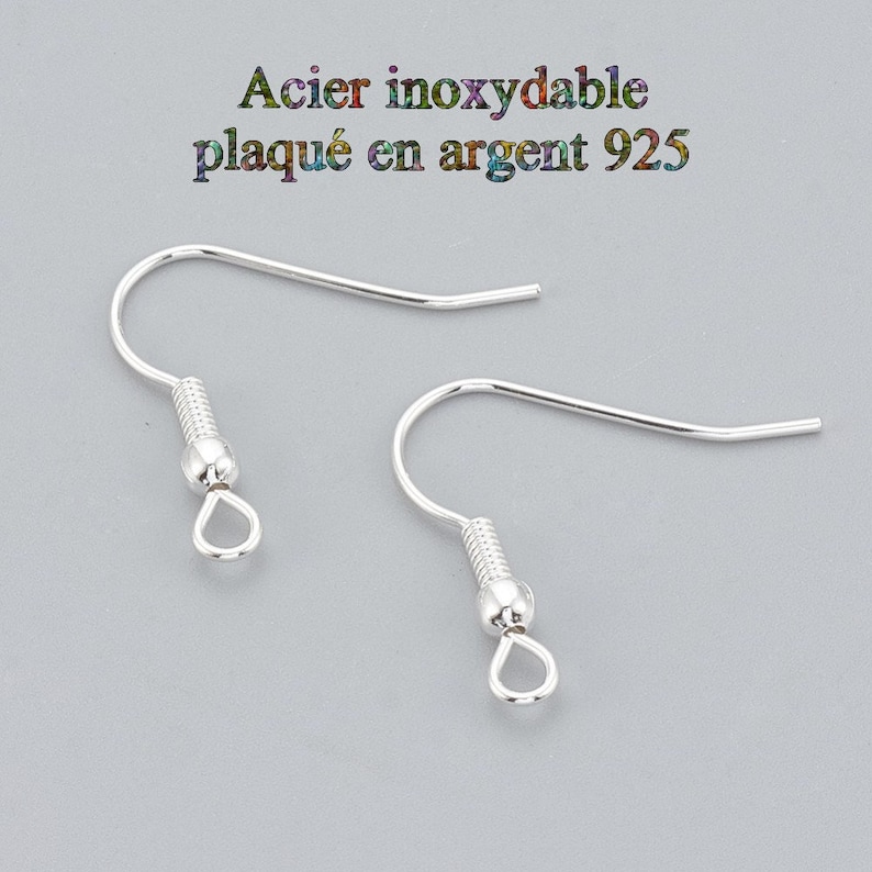 20 Crochets en acier inoxydable plaqué argent image 1