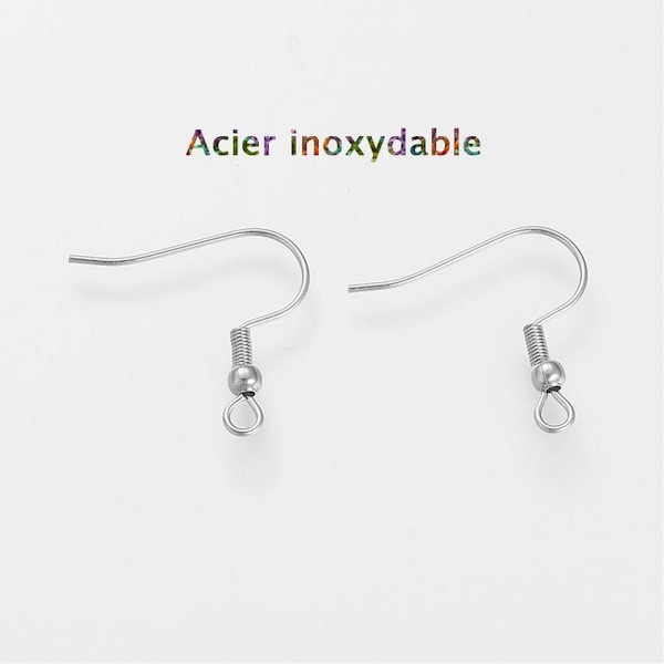 20 Crochets d'oreilles en acier inoxydable