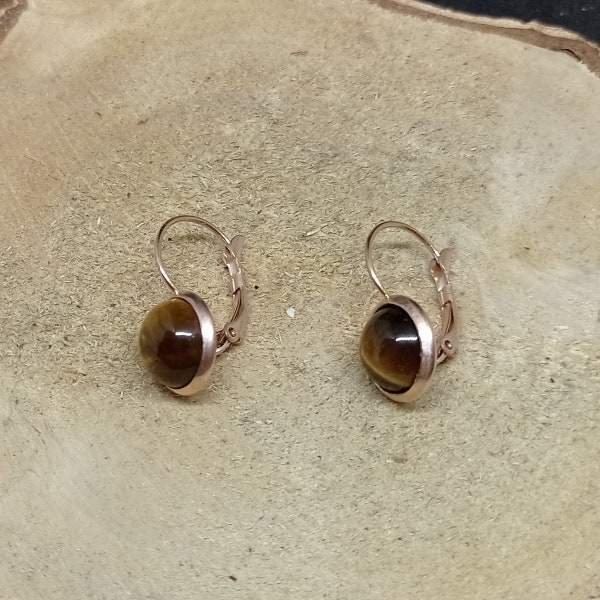 1 pair of tiger eye earrings