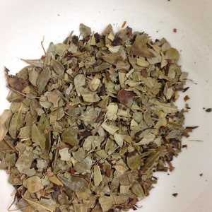 Organic Uva Ursi cut and sifted Bulk Herbs From Texas 2 oz. Reusable Resealable waterproof bag