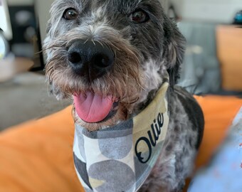 creative dog bandanas