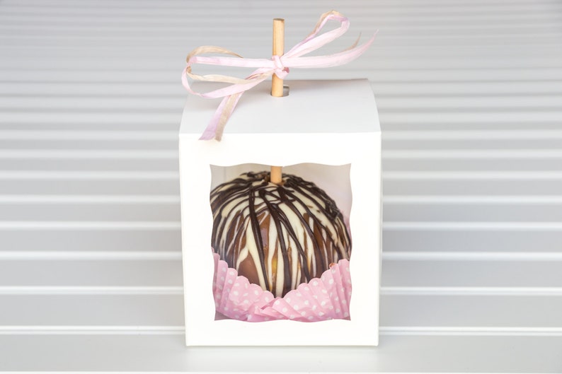 25 White Caramel Apple Boxes With 25 Wooden Sticks Candy Apple Boxes