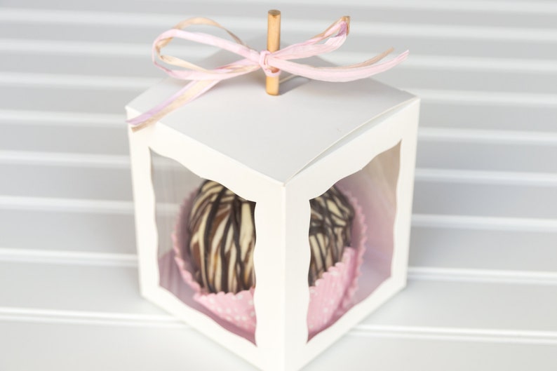 25 White Caramel Apple Boxes With 25 Wooden Sticks Candy Apple Boxes