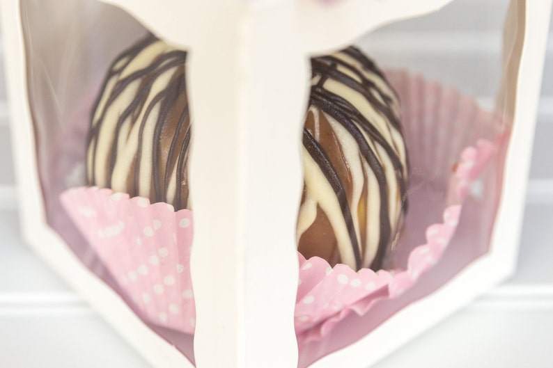 25 White Caramel Apple Boxes With 25 Wooden Sticks Candy Apple Boxes