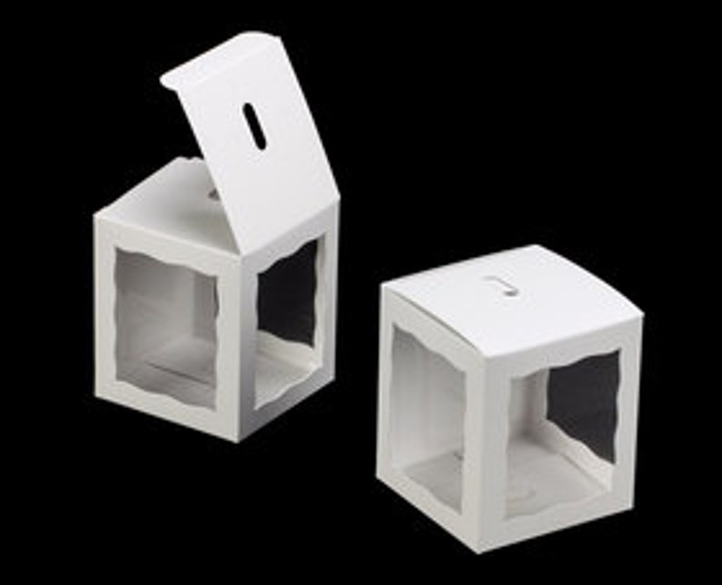 25 White Caramel Apple Boxes With 25 Wooden Sticks Candy Apple Boxes