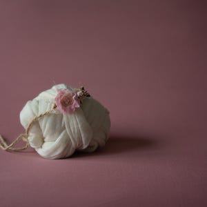 Newborn Photography Bean Bag Posing Fabric - Dusty Rose