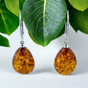 Amber earrings hot sale argos