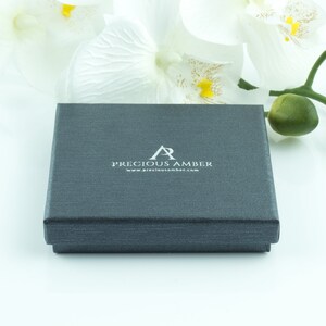 Pu&ograve; includere: Una scatola rettangolare grigia con il testo "PRECIOUS AMBER" e l'indirizzo del sito web "www.preciousamber.com" stampato in bianco.