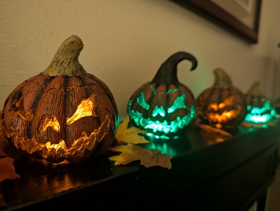 Midnight Black Pumpkin - Etsy