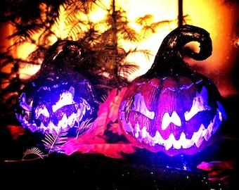 Può includere: Due decorazioni di zucca di Halloween viola e nere con luci viola e bianche brillanti. Le zucche sono davanti a uno sfondo sfocato di fogliame verde e un bagliore arancione caldo.
