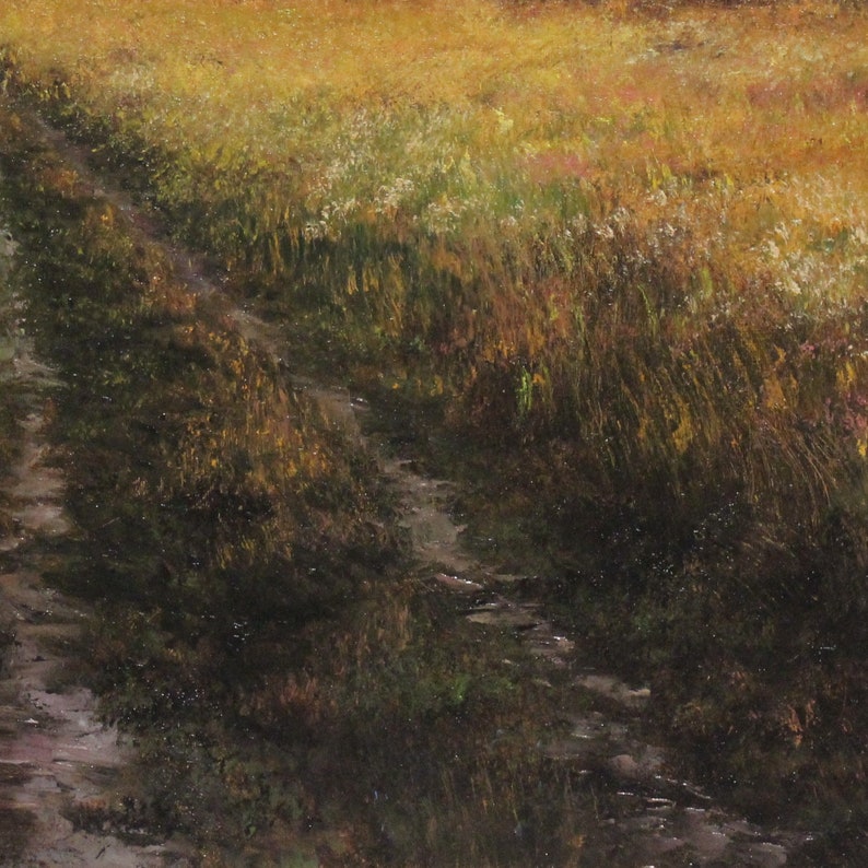 Tall Grass Original Landscape Oil Painting 55 X 60 Cm / Etsy