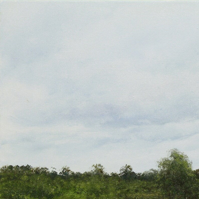 Pu&ograve; includere: Un dipinto a olio raffigurante una scena di paesaggio. L'opera presenta un cielo nuvoloso sopra una linea di alberi e fogliame verdi. La tavolozza dei colori &egrave; dominata da sfumature di verde, blu e bianco, creando un'atmosfera serena e naturalistica.